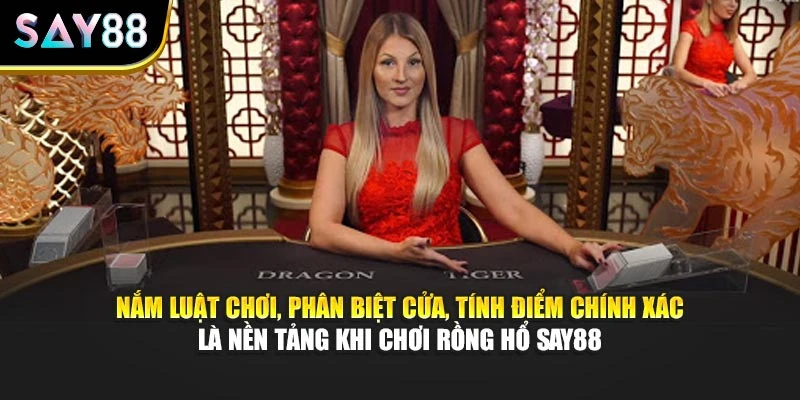 Nắm luật chơi, phân biệt cửa, tính điểm chính xác là nền tảng khi chơi Rồng Hổ Say88
