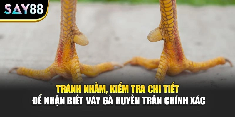 Tránh nhầm, kiểm tra chi tiết để nhận biết vảy gà Huyền Trân chính xác